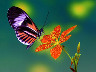 ��(sh��)�W(xu��)���@