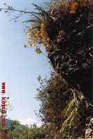 ���������£����»��^�mʢ�_�����ݮ��z��