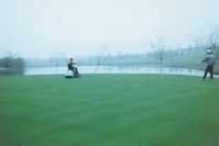 �ߠ������(ch��ng)��ƺ