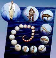 �����M(j��n)���D