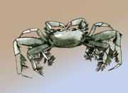 ��������з