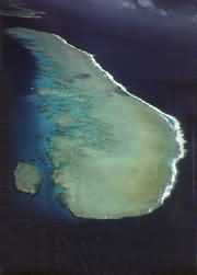 ɺ�����L(zh��ng)�ĵط�--ɺ����