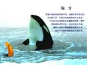 �L������̎