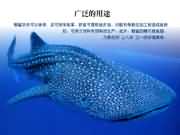 �V������;