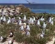 ��Ϣ�ں���߅���BȺ