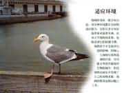 �m��(y��ng)�h(hu��n)��