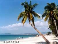 ������|�����r�İ�ɳ��