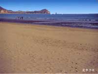 ������ɳ����