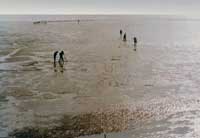 �ӱ������|(zh��)����