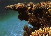 ��ɳȺ�uɺ�����a�����ϵ�ɺ����