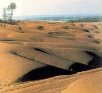 核實(shí)驗(yàn)污染沙漠